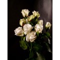 Spray Roses - Viviane
